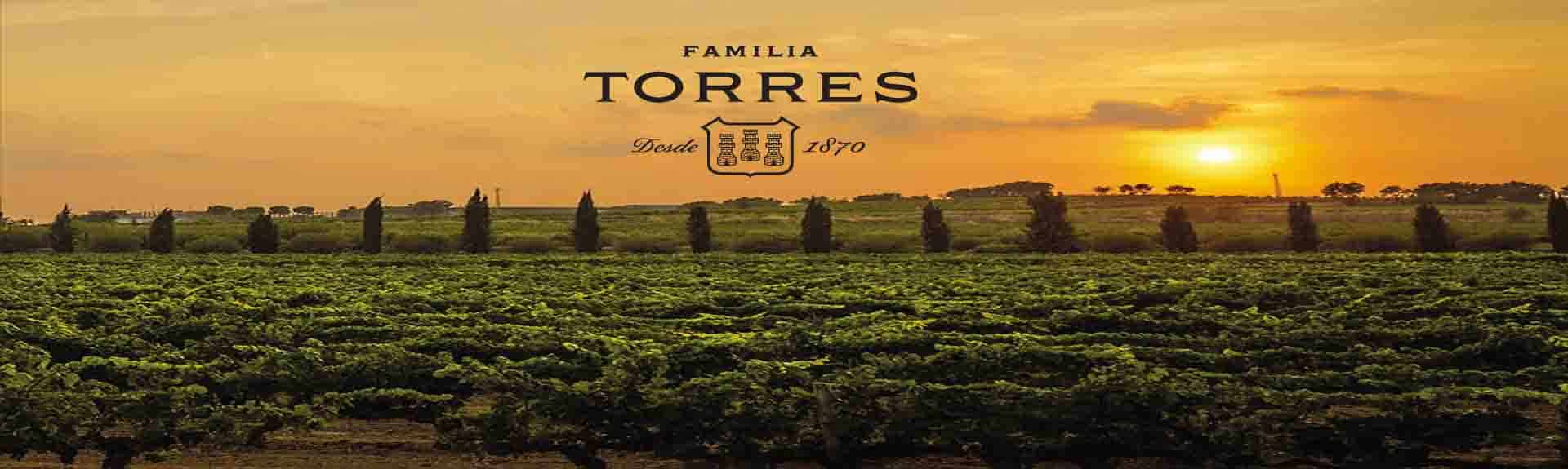 TORRES WINES banner